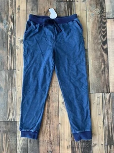 NWT Gymboree ALL SMILES Girls Blue Jogger Pants Size Xs 4 - Picture 1 of 1