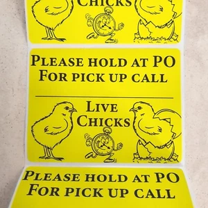 200 Large 4" x 3" Live Chicks Hold At PO For Pick up call Shipping Labels - Picture 1 of 16
