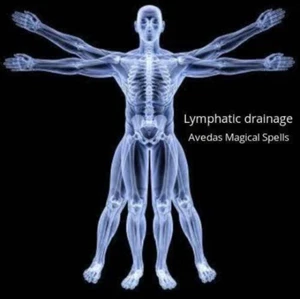 Lymphatic drainage session - Remote healing service - Bild 1 von 1