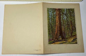 Menú de curry de campamento YOSEMITE 16 de julio de 1927 4,25x6,25" Grizzly gigante Widforss temprano - Imagen 1 de 2