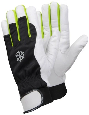 ~~ EJENDALS TEGERA 335 INSULATED PRECISION Glove Lederhandschuh, wintergefüttert ~~ - Bild 1 von 3