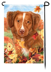 Falling Leaves Garden Flag - Nova Scotia Duck Tolling Retriever - Picture 1 of 1
