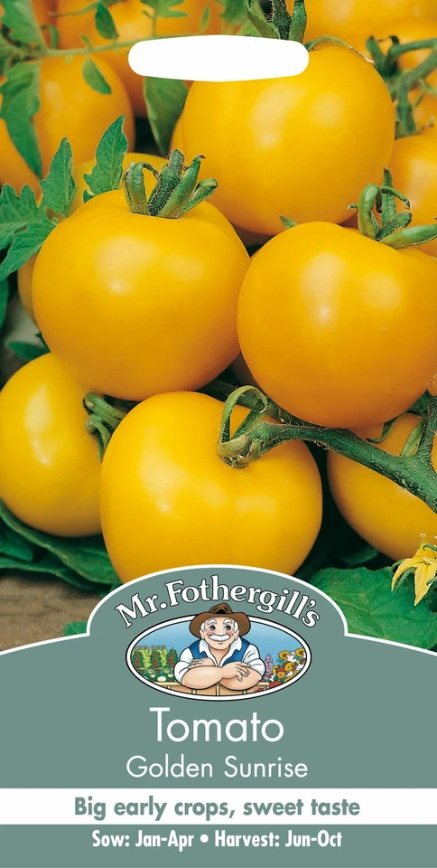 Mr Fothergills - Vegetable - Tomato - Golden Sunrise - 50 Seeds - Image 1 of 1