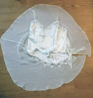 Mujer GRANDE De Colección VAN RAALTE Marfil Encaje ASIMÉTRICO Falda Transparente Lencería Deslizante Foto 1 de 4