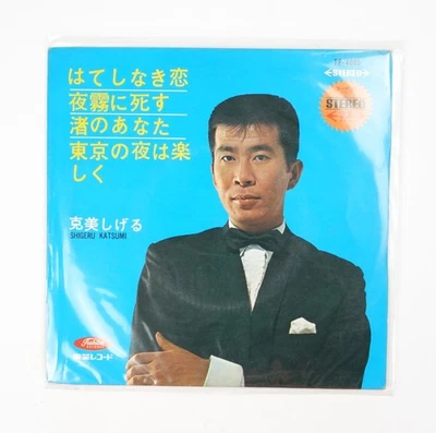 Shigeru Katsumi – Endless Love (Hateshinaki Koi) Vinyl Record Japan Import - Image 1 of 4