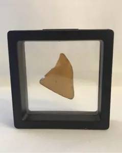 Authentic Brown Sea Glass - Framed In Floating Frame Display - Brown Glass - Picture 1 of 8