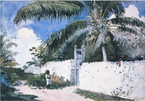 Ein Garten in Nassau Bahamas von Winslow Homer Junge bewundert Kokosnussbaum 24 x 17 Zoll - Bild 1 von 5