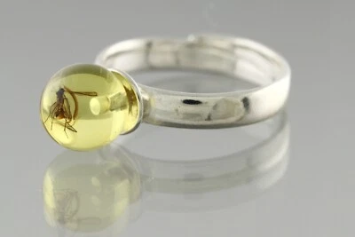 Anillo Ajustable Plata Redondo Ámbar Báltico Genuino ÁMBAR HONGO FÓSIL 2.7g 506-13 Foto 1 de 4