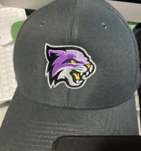 nike dri fit hat green hat M/l - Picture 1 of 2