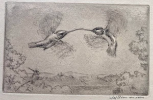 Aquatint Etching WILL SIMMONS 1884-1949 HUMMING BIRDS PLAY Wildlife Art Print - Picture 1 of 2