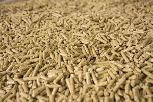 Arraca para gatos a base de madera 15 litros (7,5 kg) bolsa pellets absorbentes pellet de pino fresco - Imagen 1 de 1