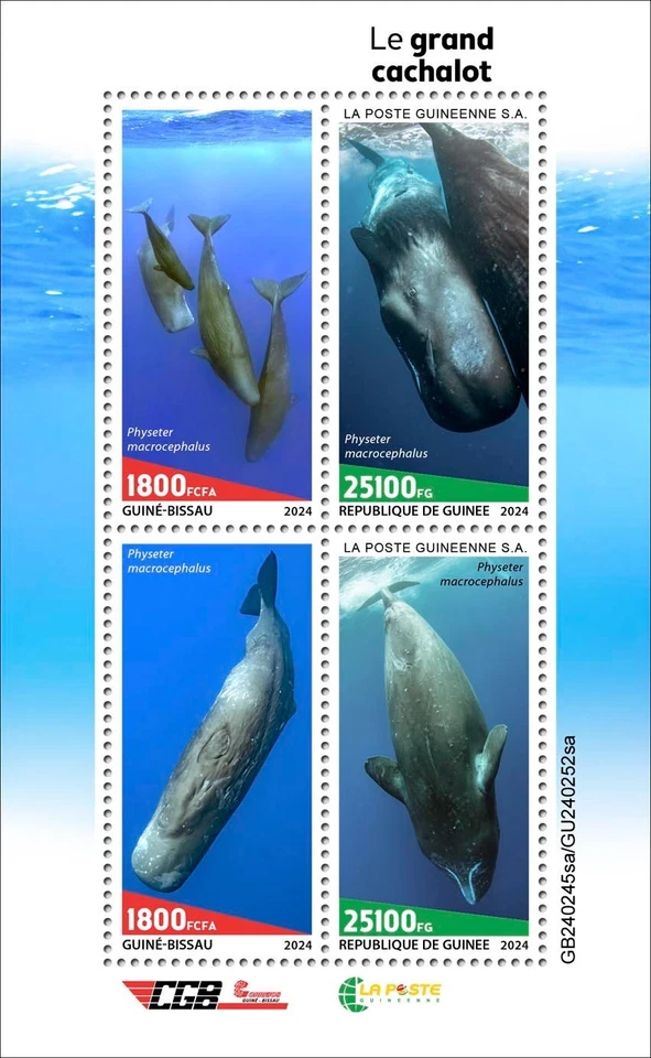 Марки кашалот 2024 Гвинея-Бисау как новые без наклеек и следов - Изображение 1 из 1