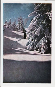 Postal vintage Bulgaria Vitosha en invierno C180 - Imagen 1 de 2