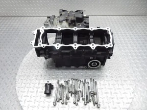 2000 00 01 Kawasaki ZX12R ZX1200 OEM Crankcase Crank Case Engine Block Bolts - Picture 1 of 24
