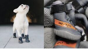 Fresh Pawz Beluga 544 Dog Shoes 4 pcs  Rare Yeezy Inspired Hypebeast Sneakers