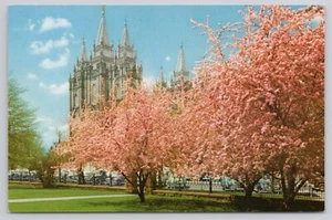 Mormonentempel Salt Lake City Utah zwischen blühenden rosa Bäumen Postkarte - Bild 1 von 2