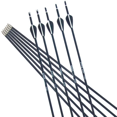 6/12pcs Carbon Arrows Practice 31" Arrows Archery Compound Recurve Bow Hunting - Image 1 of 4