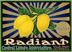 ORIGINAL STRAHLENDE ZITRONENKISTE ETIKETT ORANGE COUNTY VILLA PARK ART DECO UM 1930 - Bild 1 von 1