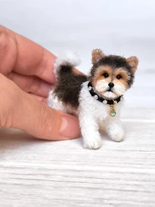 Puppy Marty - Picture 1 of 12