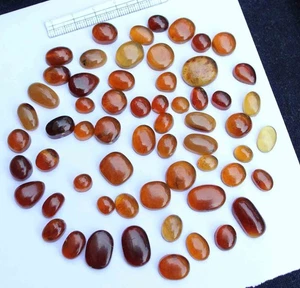 Designer Natural Baltic Amber Mix cabochon 7*8.5 to 11.5*17 mm 112.80 CT 60 Pc - Picture 1 of 6