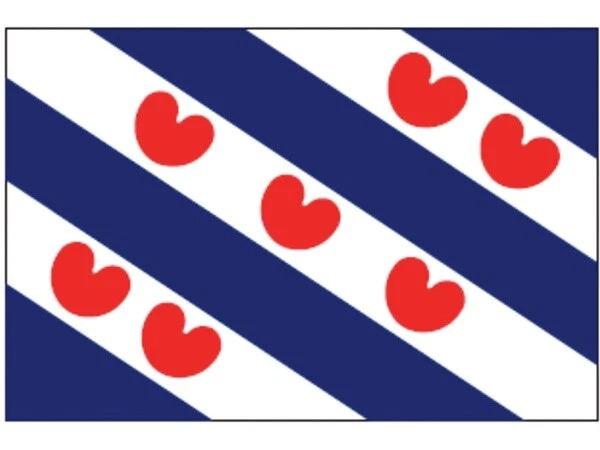 Flag Friesland 2x3m - Image 1 of 1