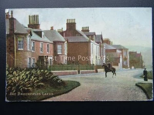 Scotland LARGS The Broomfields showing Horse & Rider c1906 Postcard by Leader - Picture 1 of 2