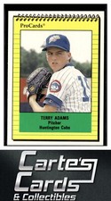 Terry Adams 1991 ProCards #3324  Huntington Cubs