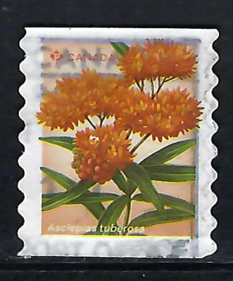 CANADA USED STAMP - SCOTT 3414 -  COIL FROM BOOKLET - FLOWERS - 2024 — 第 1/1 张图片