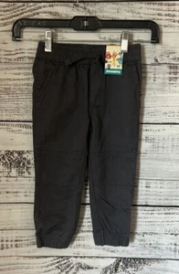 NWT boys gray jogger pants from garanimal size 3t - Picture 1 of 2