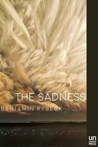 The Sadness by Benjamin Rybeck 2016 Paperback - Foto 1 di 2