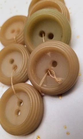 Gorgeous Set of 7 Antique Vegetable Ivory Buttons. 2-Hole Flat. Light Tan Shades Cover