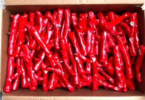 Kunstharz stilisierte einzelne rote Korallenteile mit Schraube auf der Rückseite 173 Teile - Bild 1 von 10