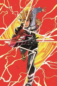 ABSOLUTE FLASH #3 VARIANT CVR B HAINING CARD STOCK VARIANT PREORDER 23.05.25 DC - Bild 1 von 1