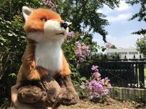 Red Fox Plush Doll Stuffed Vulpes Vulpes 10'' Oddly Gift Cross Fox Silver Fox - Picture 1 of 9