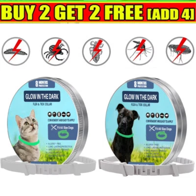 62cm Glow in the dark Collar Dog Cat Ticks & Flea Treatment 8 Months Protection - image 1 of 4