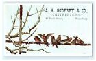 J.A. Godfrey & Co. Outfitters Waterbury CT - Birds on Tree « saison des vacances » 