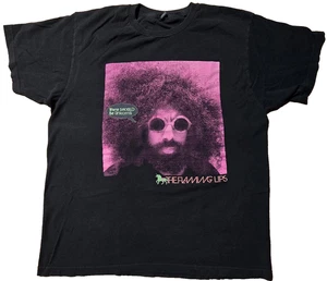 The Flaming Lips Shirt 2017 Tour L There Should Be Unicorns Reggie Watts Tultex - Bild 1 von 8