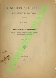CAPELLINI Giovanni - Fossile Nashörner des Museums von Bologna.  (3-71546) - Bild 1 von 1