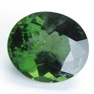 10,03Cts Naturale Incredibile Colore Verde Apatite Ovale 14,7x12,7mm Collezione Gemma - Foto 1 di 7