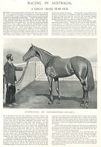1896 caballos de carreras de Australia Newhaven - Imagen 1 de 1