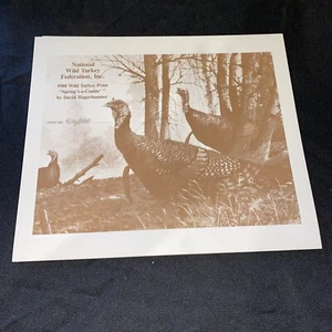 John Cowan 1988 Texas Wild Turkey Stamp Print W Stamp No. 806 von 1500 - Bild 1 von 9