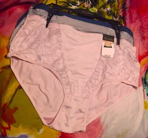 3 NEW PRIMA VALENTINA 871079X PK/GY/NY PLUS SIZE MF LACE PANELS BRIEF PANTIES 3X - Picture 1 of 2