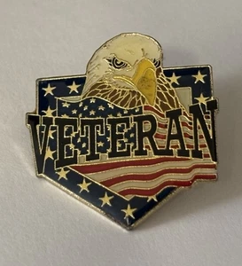 Patriotic VETERAN Colorful 1” Wide Gold Tone Lapel Tack Pin - Picture 1 of 3