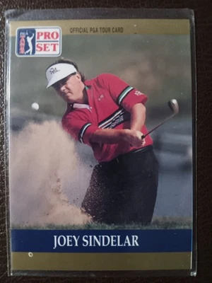 JOEY SINDELAR 1990 PGA TOUR PRO SET TARJETA #41 Foto 1 de 2