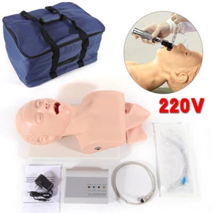 Airway Management Trainer Study Adult Oral Intubation Manikin Teaching Model New - Picture 1 of 12