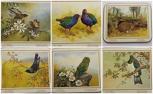 Neuseeland Vögel Kiwi Welt Untersetzer 6er Set Kork Rückseite Taube Fantail Kea Tui - Bild 1 von 10