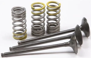 Pro-X Steel Intake Valve/Spring Kit For Yamaha YZ250F 2001-2013 - 28.SIS2402-2 - Picture 1 of 1