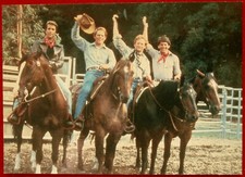 HAPPY DAYS - Card #43 - Tall In The Saddle - Duocards 1998