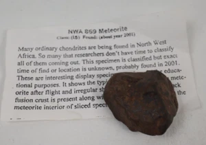 18 grams NWA 869 Meteorite - Picture 1 of 12