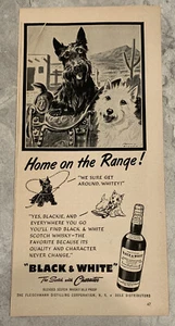 1952 Scottish Terrier Black & White Vintage print ad - Picture 1 of 1